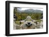 Schloss Linderhof, Between Fussen and Garmisch-Partenkirchen, Bavaria (Bayern), Germany-Gary Cook-Framed Photographic Print