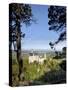 Schloss Neuschwanstein, Fairytale Castle Built by King Ludwig II, Near Fussen, Bavaria, Germany-Gary Cook-Stretched Canvas