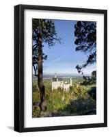 Schloss Neuschwanstein, Fairytale Castle Built by King Ludwig II, Near Fussen, Bavaria, Germany-Gary Cook-Framed Photographic Print