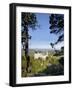 Schloss Neuschwanstein, Fairytale Castle Built by King Ludwig II, Near Fussen, Bavaria, Germany-Gary Cook-Framed Photographic Print