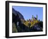 Schloss Neuschwanstein, Fairytale Castle Built by King Ludwig II, Near Fussen, Bavaria, Germany-Gary Cook-Framed Photographic Print