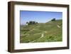 Schloss Ortenberg Castle, Offenburg, Ortenau, Black Forest, Baden Wurttemberg, Germany, Europe-Markus-Framed Photographic Print