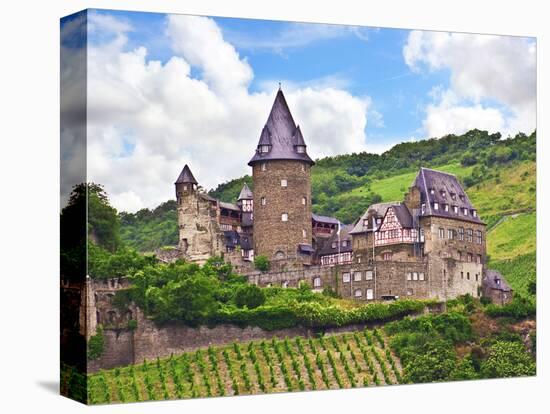 Schloss Stahleck, Bacharach, Germany-Miva Stock-Stretched Canvas