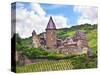 Schloss Stahleck, Bacharach, Germany-Miva Stock-Stretched Canvas