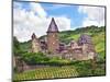 Schloss Stahleck, Bacharach, Germany-Miva Stock-Mounted Photographic Print