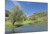 Schloss Werenwag (Werenwag Castle), Hausen an Der Donau, Danube River-Markus Lange-Mounted Photographic Print