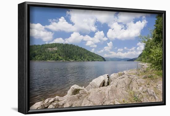 Schluchsee, Black Forest, Baden-Wurttemberg, Germany-Markus Lange-Framed Photographic Print