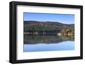 Schluchsee, Black Forest, Baden-Wurttemberg, Germany-Markus Lange-Framed Photographic Print