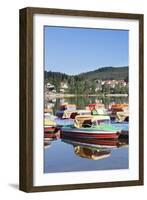 Schluchsee Lake, Black Forest, Baden Wurttemberg, Germany, Europe-Markus Lange-Framed Photographic Print