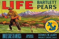 Life Brand Bartlett Pears-Schmidt Lithograph Co-Art Print