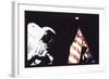 Schmitt, Flag, and Earth-null-Framed Art Print