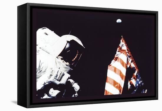 Schmitt, Flag, and Earth-null-Framed Stretched Canvas