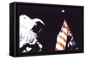 Schmitt, Flag, and Earth-null-Framed Stretched Canvas