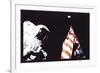 Schmitt, Flag, and Earth-null-Framed Art Print