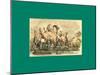 Schnaken and Schnurren-Wilhelm Busch-Mounted Giclee Print