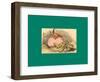 Schnaken and Schnurren-Wilhelm Busch-Framed Giclee Print