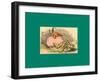 Schnaken and Schnurren-Wilhelm Busch-Framed Giclee Print