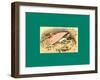 Schnaken and Schnurren-Wilhelm Busch-Framed Giclee Print