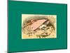 Schnaken and Schnurren-Wilhelm Busch-Mounted Giclee Print