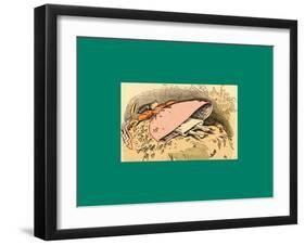 Schnaken and Schnurren-Wilhelm Busch-Framed Giclee Print