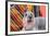 Schnauzer Lying on Blanket-Zandria Muench Beraldo-Framed Photographic Print