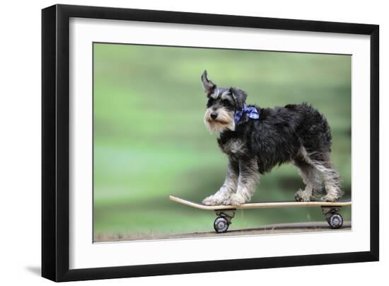 Premium Photographic Print, , large
