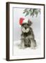 Schnauzer Puppy in Snow Wearing Hat-null-Framed Photographic Print