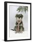 Schnauzer Puppy in Snow Wearing Scarf-null-Framed Photographic Print