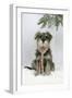 Schnauzer Puppy in Snow Wearing Scarf-null-Framed Photographic Print