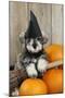 Schnauzer Puppy Looking over Broom Wearing Witches Hat-null-Mounted Photographic Print