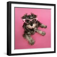 Schnauzer Puppy Wearing Pink Glasses-null-Framed Premium Photographic Print