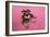 Schnauzer Puppy Wearing Pink Glasses-null-Framed Photographic Print