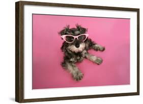 Schnauzer Puppy Wearing Pink Glasses-null-Framed Photographic Print