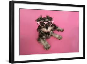 Schnauzer Puppy Wearing Pink Glasses-null-Framed Photographic Print