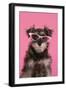 Schnauzer Puppy Wearing Pink Glasses-null-Framed Photographic Print