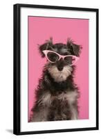 Schnauzer Puppy Wearing Pink Glasses-null-Framed Photographic Print