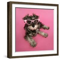 Schnauzer Puppy Wearing Pink Glasses-null-Framed Photographic Print