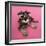 Schnauzer Puppy Wearing Pink Glasses-null-Framed Photographic Print