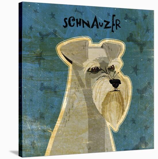 Schnauzer (square)-John W Golden-Stretched Canvas