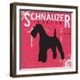 Schnauzer-Taylor Greene-Framed Art Print