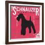 Schnauzer-Taylor Greene-Framed Art Print