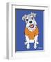 Schnauzer-Tomoyo Pitcher-Framed Premium Giclee Print