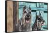 Schnauzers in front of blue door-Zandria Muench Beraldo-Framed Stretched Canvas