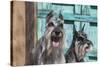 Schnauzers in front of blue door-Zandria Muench Beraldo-Stretched Canvas