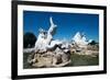 Schonbrunn Palace fountains, UNESCO World Heritage Site, Salzburg, Austria, Europe-Ethel Davies-Framed Photographic Print