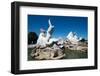 Schonbrunn Palace fountains, UNESCO World Heritage Site, Salzburg, Austria, Europe-Ethel Davies-Framed Photographic Print