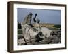 Schonbrunn Palace, Unesco World Heritage Site, Near Vienna, Austria-Julia Thorne-Framed Photographic Print