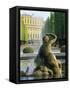 Schonbrunn Palace, Vienna, Austria, Europe-Jean Brooks-Framed Stretched Canvas