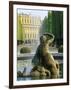 Schonbrunn Palace, Vienna, Austria, Europe-Jean Brooks-Framed Photographic Print