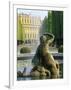 Schonbrunn Palace, Vienna, Austria, Europe-Jean Brooks-Framed Photographic Print